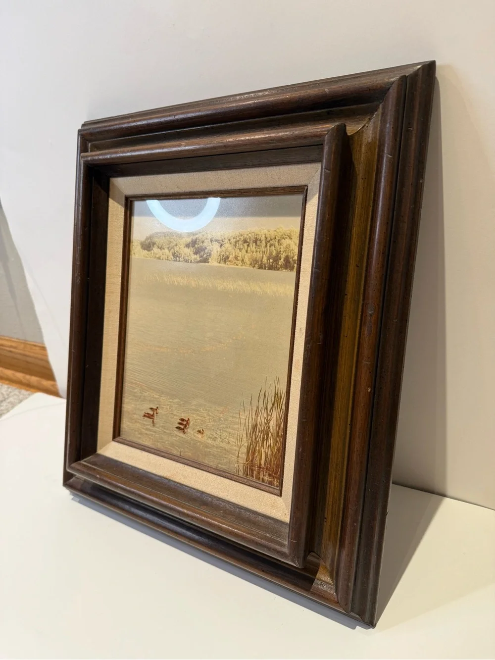 Vintage Framed Mallard Ducks Lake Landscape Art Print Wood Canvas Matte